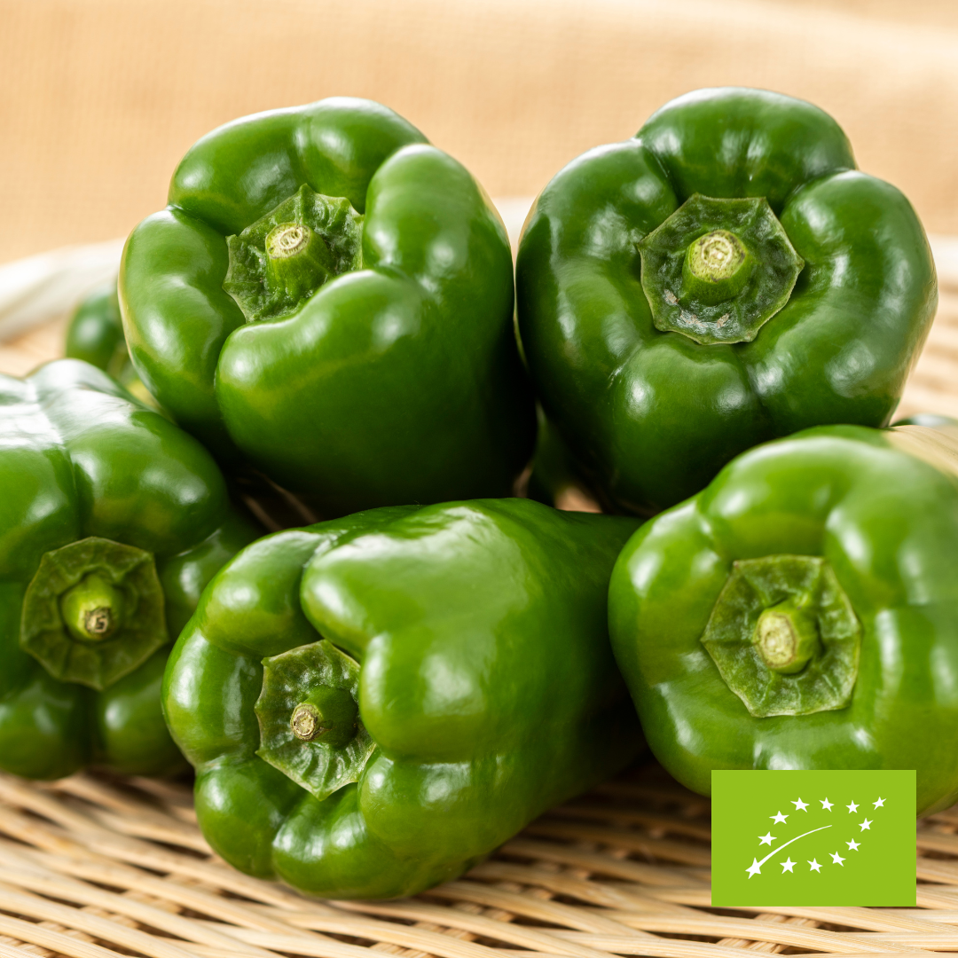 Papryka zielona EKO (import) ok. 400 g