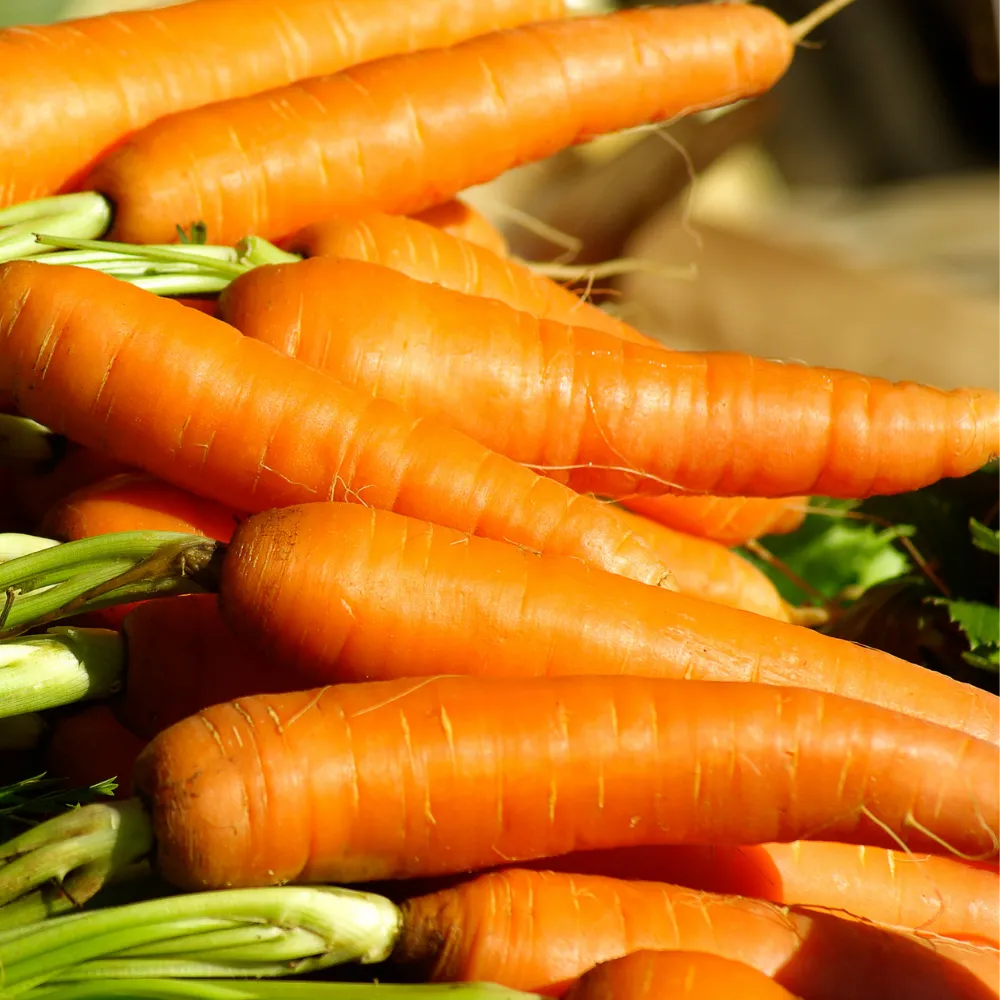 Marchew młoda świeża EKO 1000 g (import)